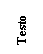 Text Box: Testo