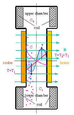 slide5.jpg (32256 bytes)
